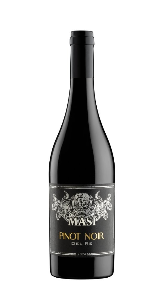 Rich results on Google's SERP when searching for "Masi"