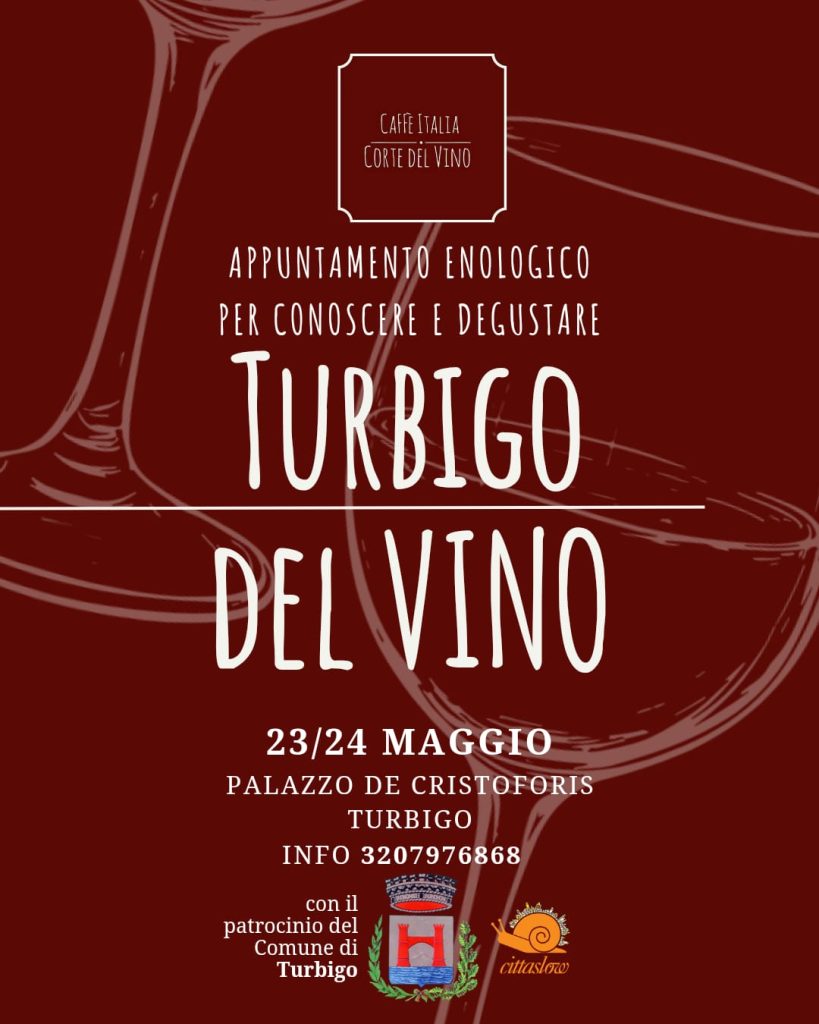 Rich results on Google's SERP when searching for "Turbigo del vino"