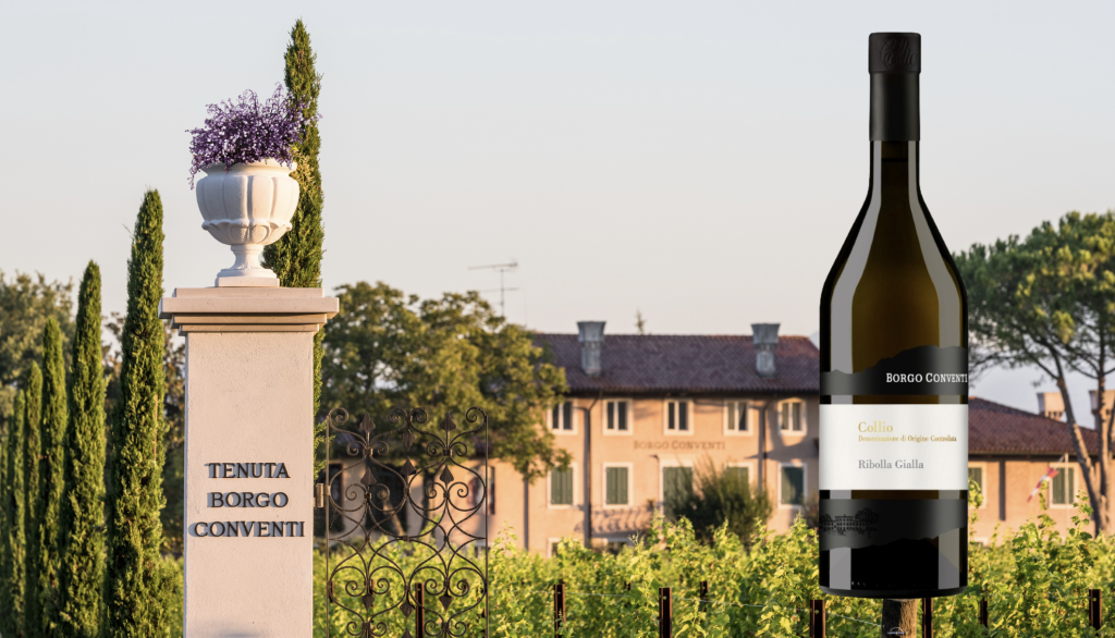 Rich results on Google's SERP when searching for "Vini"